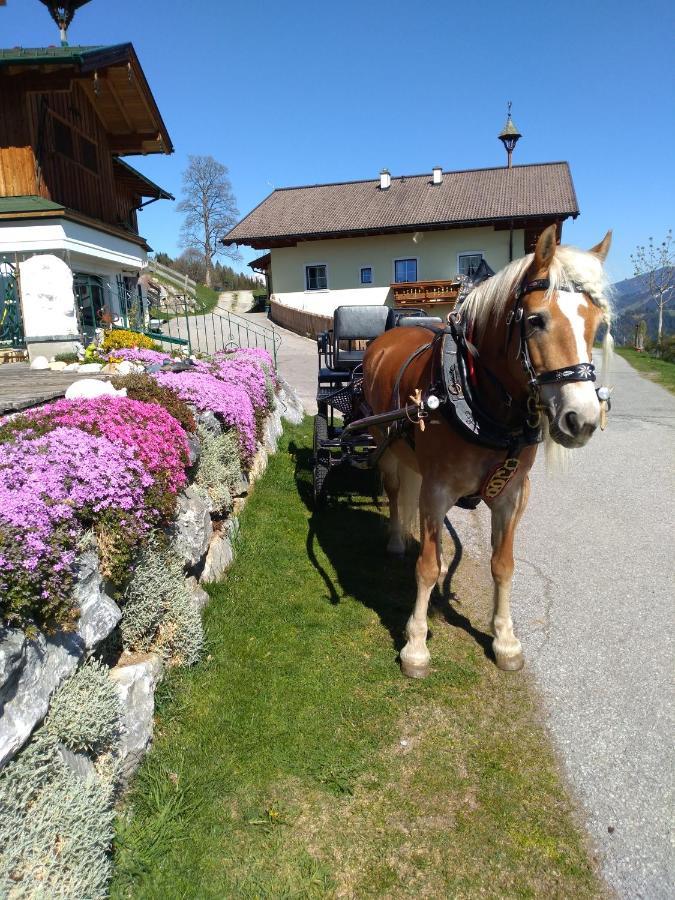 Haus Bucher Wagrain Zewnętrze zdjęcie